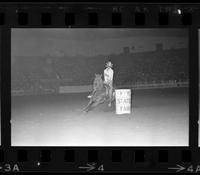 Wendy Potter Barrel racing