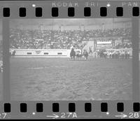 Walt Linderman or Roy Duvall Steer wrestling