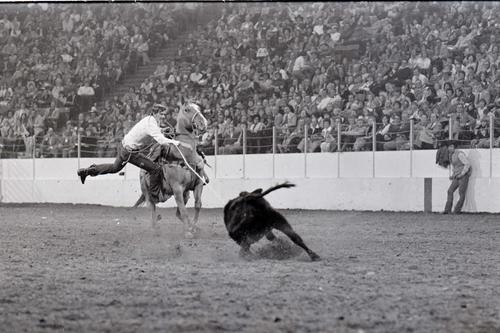 Kansas City, Roll M, 11-09 to 14-1976, 7th Perf