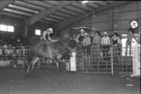 Benny Scarberry on Bull #15, Arkansas State-Beebe