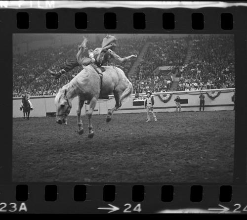 NFR, Oklahoma City,  Roll M, 7th Performance