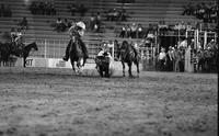 Ron Helton Steer wrestling