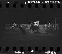 Maury Whyte Calf roping