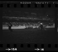 Barry Burk Calf roping, 10.2 Sec