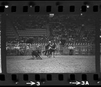 Lee Colkrell Calf roping