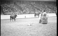 Unknown Rodeo clowns Bull fighting with unknown Bull