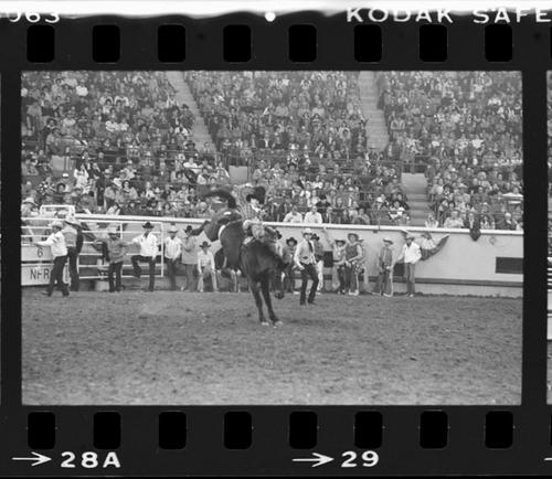 NFR, Oklahoma City, Roll D, 12-03 to 05-1977, 3rd Perf.