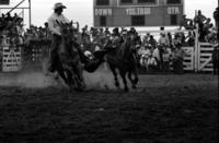 Frank Callittello Steer wrestling