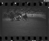 Norm Dannecker Steer wrestling