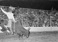 Mike Tierney on Bull #57
