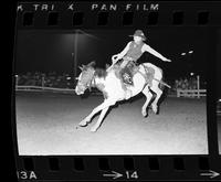 Jim Hill on Saddle bronc #90