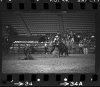 Lee Cockrell Calf roping