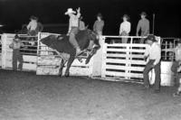 Ernie Roberts on Bull #0