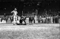 Jim McReynolds Steer wrestling