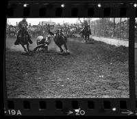 Luther Brewer Steer wrestling