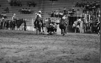 Marty Varner Steer wrestling