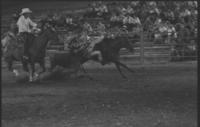 Randy Lee Steer wrestling