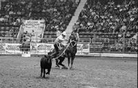 Carmine Nastri Calf roping