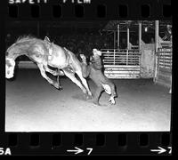 Unknown rider on unknown Bareback