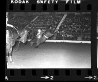 Denny Wagner riding White Slave