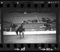 Ken Laughlin on Snake River