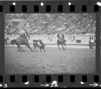 Bill Darnell & Jerold Camarillo Team roping