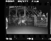 Kenny Leach Bull riding DLL