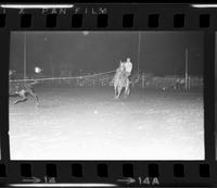 Bobby Goodspeed Calf roping, 13.5 Sec