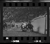 Carl Deaton Steer Wrestling