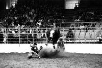 Marvin Shoulders on Bull #105