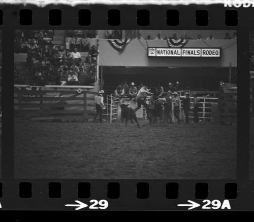 NFR, Oklahoma City,  Roll H, 5th Performance