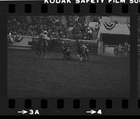 Russ Dolven Steer wrestling