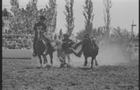 Don Douglas Steer wrestling