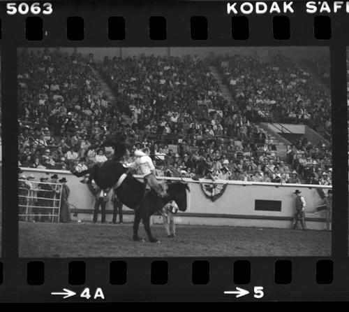 NFR, Oklahoma City, Roll AA, 8th Perf.
