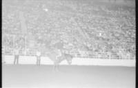 Unidentified Bronc rider on Rocky Butte