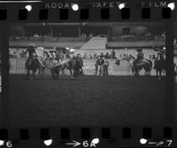 Chip Whitaker Steer wrestling