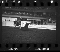 Kenny Patterson Calf roping