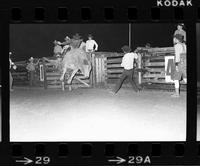 Don Osborn on Bull #17