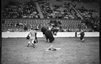 LeRoy Burden's wreck, Bull #214