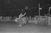 Billy Ray Adams on Bull #54