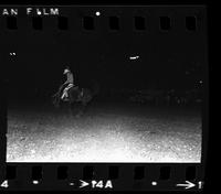 Chuck Waldie on Saddle bronc #52