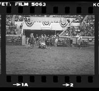 Bill Busch Steer wrestling