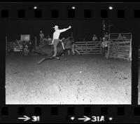 Jim Nevitt on Bull #9