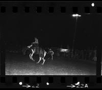 Dave Benbo on Saddle bronc #68