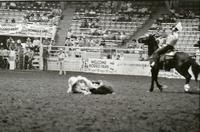 Don Huddleston Steer wrestling