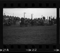 Rex Blackwell Steer wrestling