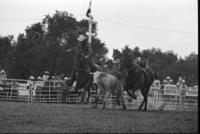 Mike Bryan Steer wrestling