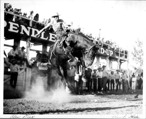 Alex Dick, who won the Northwest Bucking Championship &amp; the Bull riding at Pendleton in '46 is shown riding the Mac Barbeus bronc "Blackhawk" in the Pendleton Worlds Championship contest '47