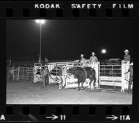 Jerry Wipke on Bull #6