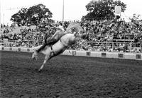 Jack Himes on Tight Rope